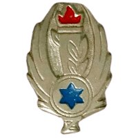 סמל בית הספר לקציני אחזקה, מנהלה ועתודה גרסה 3