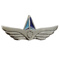 סמל מחלקת הגנה אווירית ואיסוף גרסה 1