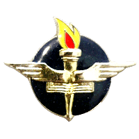 סמל מחלקת הדרכה גרסה 2