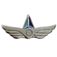 סמל מחלקת התקפה אווירית גרסה 1