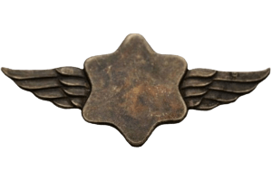 הצעה לסמל חיל האוויר הראשון גרסה 2