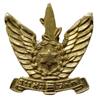 סמל חיל האוויר מוקטן גרסה 7