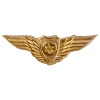 סמל כנפי הזהב גרסה 5