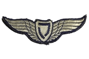 סמל כנפי טייס קישור גרסה 5